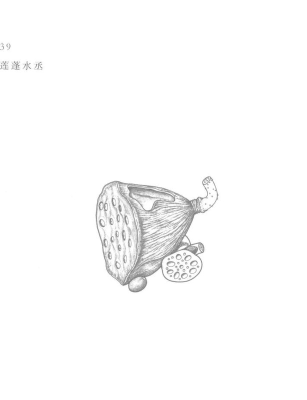 莲蓬水丞 - Classic Yixing teapot design